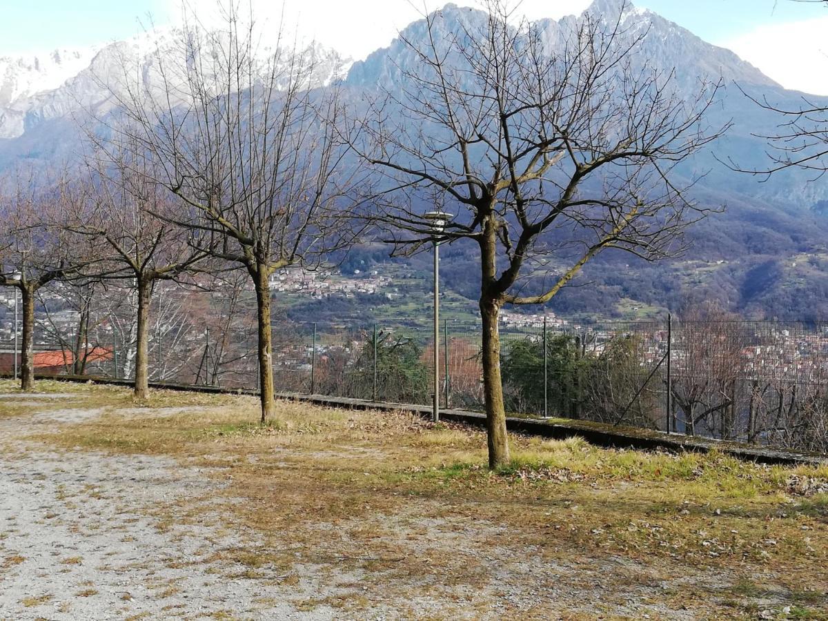 Quel Ramo Del Lago Di Como... Appartamento 189 Valbrona Eksteriør billede
